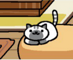しまぽいんと
